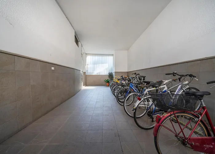 Guesthost - Catulla *